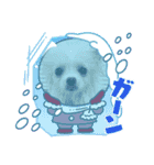 こむぎさん(2)（個別スタンプ：10）