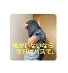 鳩人間の日常（個別スタンプ：3）