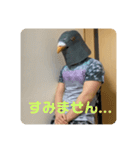 鳩人間の日常（個別スタンプ：4）