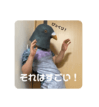 鳩人間の日常（個別スタンプ：11）