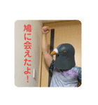 鳩人間の日常（個別スタンプ：12）