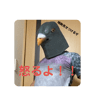 鳩人間の日常（個別スタンプ：13）