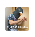 鳩人間の日常（個別スタンプ：17）