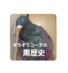 鳩人間の日常（個別スタンプ：22）