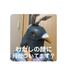 鳩人間の日常（個別スタンプ：25）