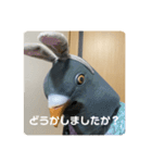 鳩人間の日常（個別スタンプ：26）