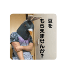 鳩人間の日常（個別スタンプ：40）