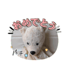 可愛い！毎日使えるクマさんたちʕ•ᴥ•ʔ（個別スタンプ：10）