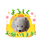 可愛い！毎日使えるクマさんたちʕ•ᴥ•ʔ（個別スタンプ：11）