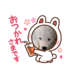 可愛い！毎日使えるクマさんたちʕ•ᴥ•ʔ（個別スタンプ：12）