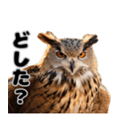 フクロウの本音が飛び出す（個別スタンプ：28）