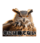 フクロウの本音が飛び出す（個別スタンプ：30）