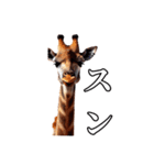 リアル動物 キリン（個別スタンプ：40）