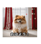 日々是動物の日常トーク（個別スタンプ：17）