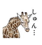 意外と使えるガチ動物園2(雑食)（個別スタンプ：6）