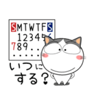 ハチワレ猫★待ち合わせ（個別スタンプ：3）