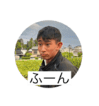 丸岡スタンプ(公式やと思う)（個別スタンプ：35）