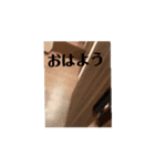 適当に作ったp.1（個別スタンプ：3）