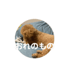 カワイイ犬 スタンプ（個別スタンプ：9）