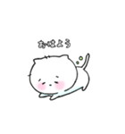 ほんわか真っ白ねこ（個別スタンプ：9）