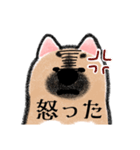 しぇぱしぇぱ（ゆるゆる）（個別スタンプ：13）