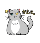 映えたい猫はみんなから愛されたいのだ（個別スタンプ：9）