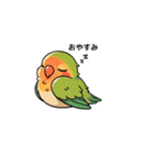 コザクラインコ チッピちゃん（個別スタンプ：4）