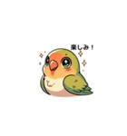 コザクラインコ チッピちゃん（個別スタンプ：6）