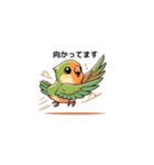 コザクラインコ チッピちゃん（個別スタンプ：9）