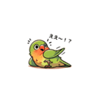 コザクラインコ チッピちゃん（個別スタンプ：13）