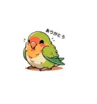 コザクラインコ チッピちゃん（個別スタンプ：15）