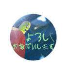 石のあいさつスタンプ（個別スタンプ：8）