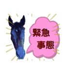 馬運車運転手（個別スタンプ：15）