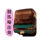 馬運車運転手（個別スタンプ：19）