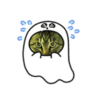 野良猫のキョロちゃん+α（個別スタンプ：5）