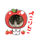 野良猫のキョロちゃん+α（個別スタンプ：6）
