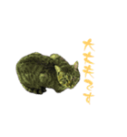 野良猫のキョロちゃん+α（個別スタンプ：11）