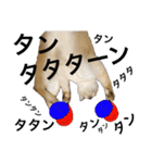 お酒とネコ好きな日常会話22（個別スタンプ：21）