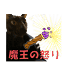 お酒とネコ好きな日常会話22（個別スタンプ：27）