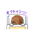 僕、Aslan。（個別スタンプ：14）