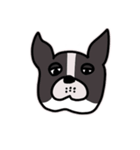 DOG IS GOD SPELLED BACKWARD（個別スタンプ：10）