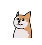 DOG IS GOD SPELLED BACKWARD（個別スタンプ：12）