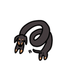 DOG IS GOD SPELLED BACKWARD（個別スタンプ：15）