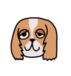 DOG IS GOD SPELLED BACKWARD（個別スタンプ：26）