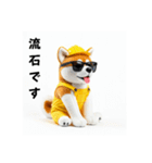 秋田犬の現場仕事⭐グラサン犬（個別スタンプ：11）