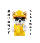 秋田犬の現場仕事⭐グラサン犬（個別スタンプ：30）