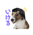 ARTS君（個別スタンプ：1）