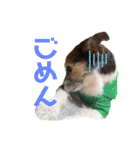 ARTS君（個別スタンプ：2）