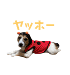 ARTS君（個別スタンプ：6）