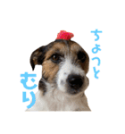 ARTS君（個別スタンプ：7）